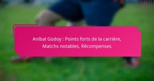 Aníbal Godoy : Points forts de la carrière, Matchs notables, Récompenses